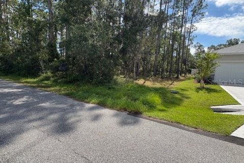 Terreno en venta en Palm Coast, Florida № 2166176 - foto 4