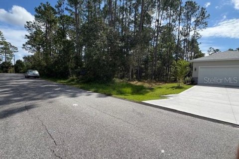 Terreno en Palm Coast, Florida № 2166176