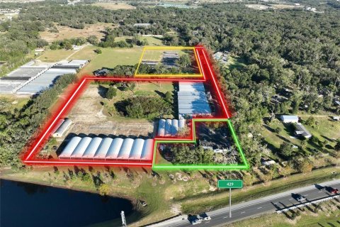 Immobilier commercial à louer à Apopka, Floride: 184.5 m2 № 1535391 - photo 1