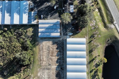 Immobilier commercial à louer à Apopka, Floride: 184.5 m2 № 1535391 - photo 6