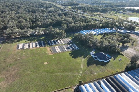 Immobilier commercial à louer à Apopka, Floride: 184.5 m2 № 1535391 - photo 8
