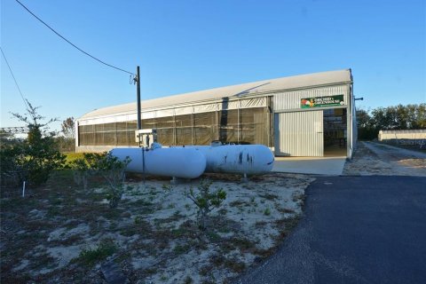 Immobilier commercial à louer à Apopka, Floride: 184.5 m2 № 1535391 - photo 22