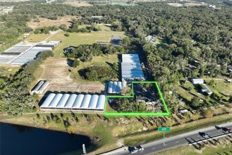 Immobilier commercial à louer à Apopka, Floride: 184.5 m2 № 1535391 - photo 3