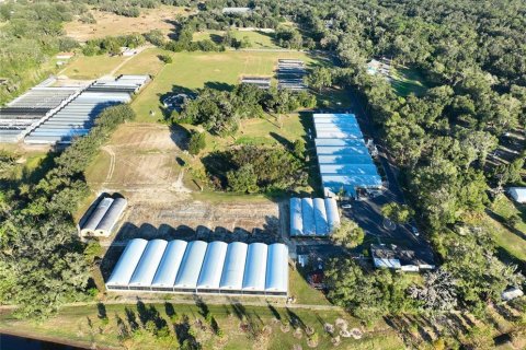 Immobilier commercial à louer à Apopka, Floride: 184.5 m2 № 1535391 - photo 4