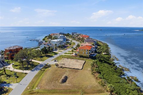 Villa ou maison à vendre à Port Richey, Floride: 5 chambres, 394.18 m2 № 2143581 - photo 13