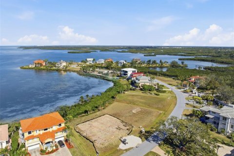 Villa ou maison à vendre à Port Richey, Floride: 5 chambres, 394.18 m2 № 2143581 - photo 10