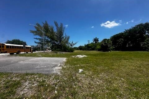 Immobilier commercial à vendre à Glen Ridge, Floride № 2242695 - photo 4