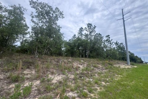 Terrain à vendre à Dunnellon, Floride № 2221683 - photo 5