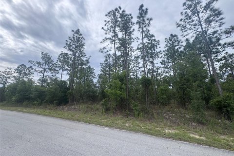 Terrain à vendre à Dunnellon, Floride № 2221683 - photo 3