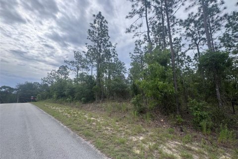 Terrain à vendre à Dunnellon, Floride № 2221683 - photo 4