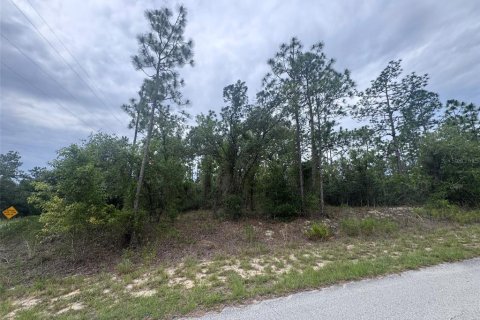 Terrain à vendre à Dunnellon, Floride № 2221683 - photo 6