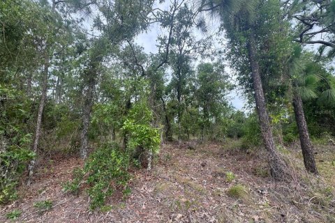 Terrain à vendre à Dunnellon, Floride № 2221683 - photo 8