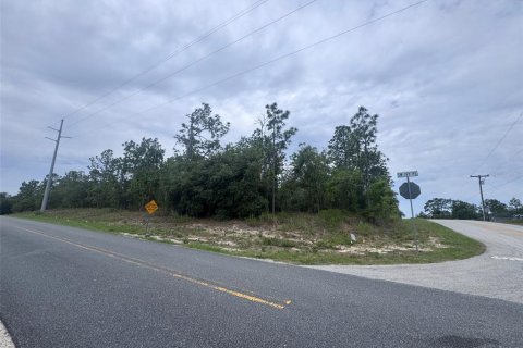 Terrain à Dunnellon, Floride № 2221683