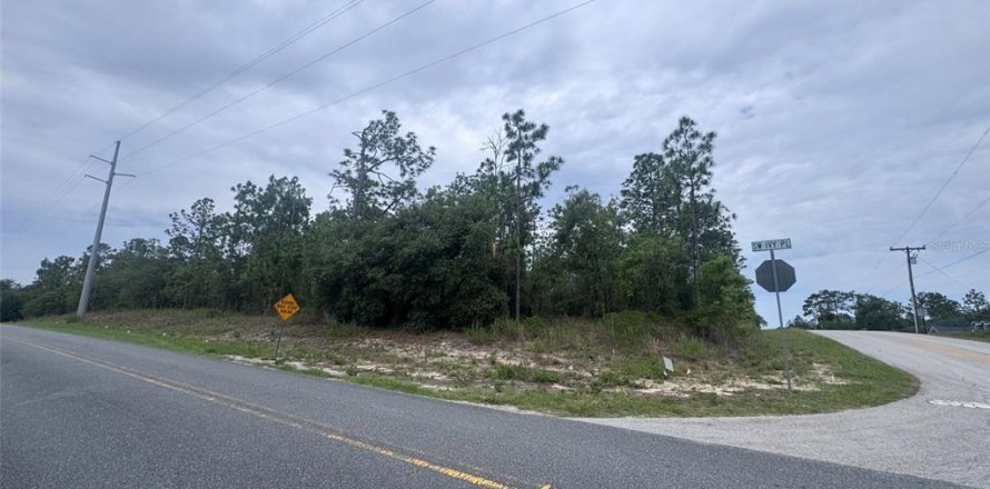 Terrain à Dunnellon, Floride № 2221683