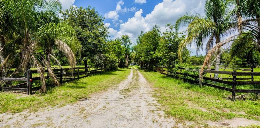 Land in Orlando, Florida № 1801549