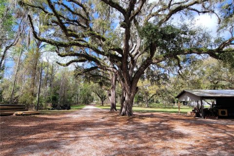 Villa ou maison à vendre à Brooksville, Floride: 3 chambres, 178.37 m2 № 2141433 - photo 5