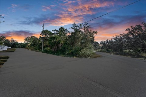 Terrain à Spring Hill, Floride № 2127407