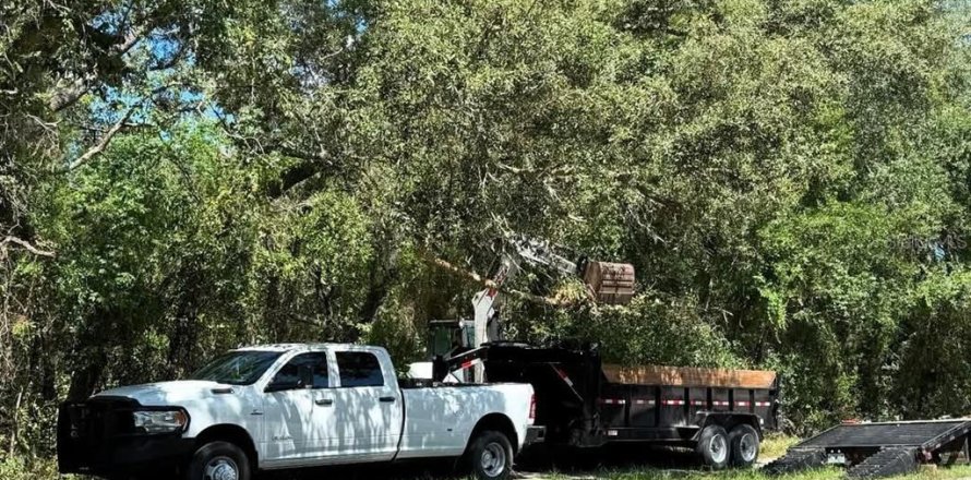 Land in Brooksville, Florida № 1813018