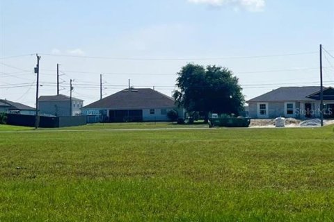 Land in Cape Coral, Florida № 2211670 - photo 3