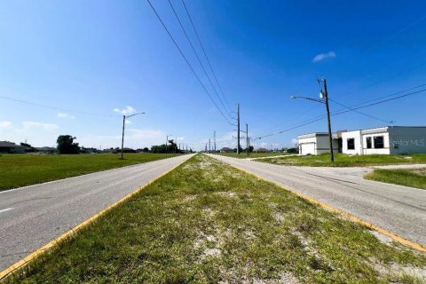 Land in Cape Coral, Florida № 2211670 - photo 4