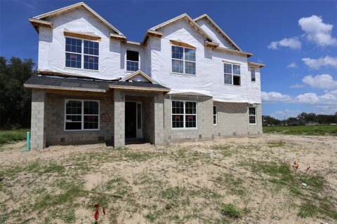 Villa ou maison à vendre à Apopka, Floride: 4 chambres, 443.61 m2 № 2406991 - photo 2