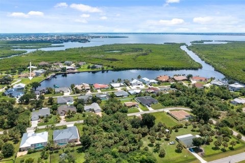 Land in Port Charlotte, Florida № 1341633 - photo 2
