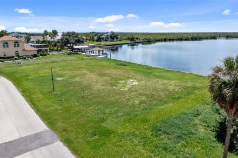 Land in Port Charlotte, Florida № 1341633 - photo 9