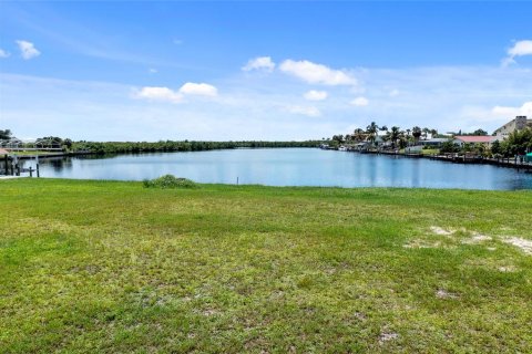 Land in Port Charlotte, Florida № 1341633 - photo 10