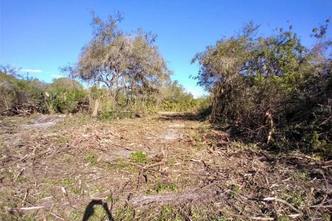 Land in Port Charlotte, Florida № 2159646 - photo 2