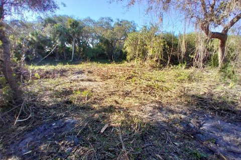 Land in Port Charlotte, Florida № 2159646