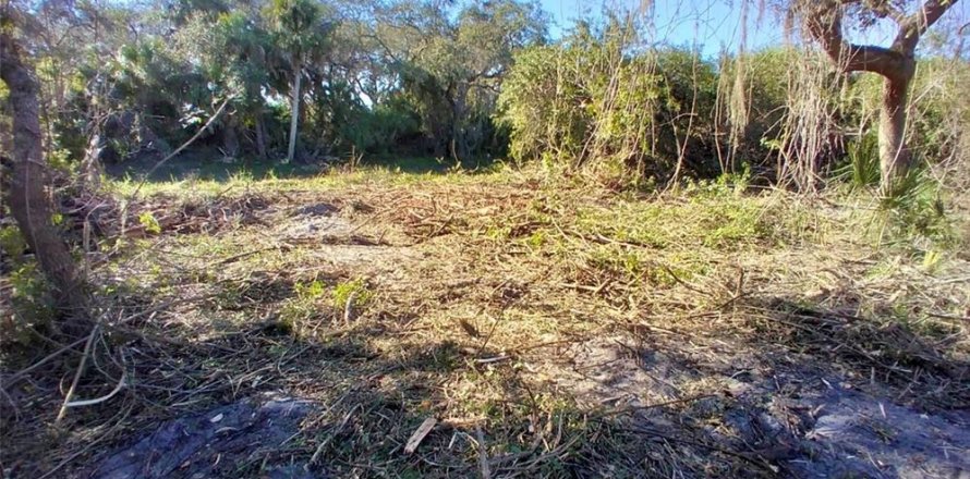 Land in Port Charlotte, Florida № 2159646