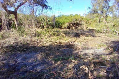 Land in Port Charlotte, Florida № 2159646 - photo 5