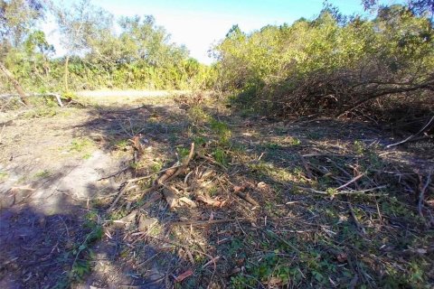 Land in Port Charlotte, Florida № 2159646 - photo 3