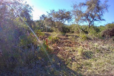 Land in Port Charlotte, Florida № 2159646 - photo 6