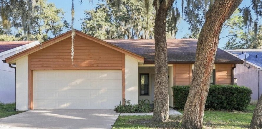 Villa ou maison à Valrico, Floride 3 chambres, 125.23 m2 № 2423636