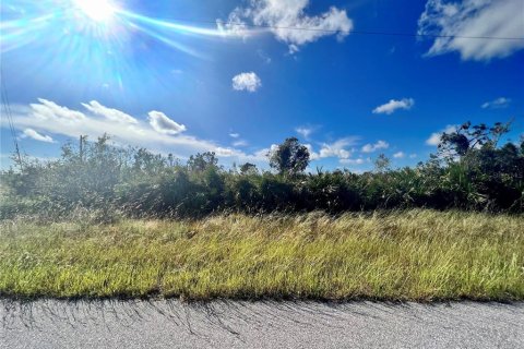 Terrain à Placida, Floride № 2225924