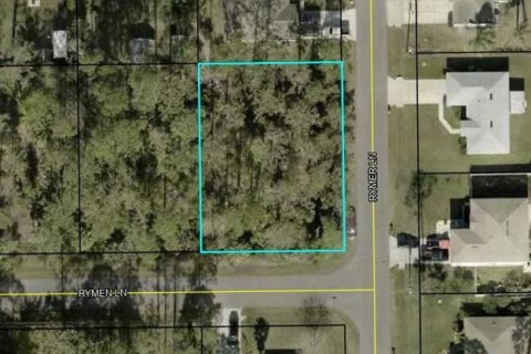 Terreno en venta en Palm Coast, Florida № 1598620 - foto 1