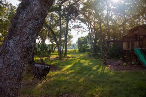 Land in Flagler Beach, Florida № 1817763 - photo 5