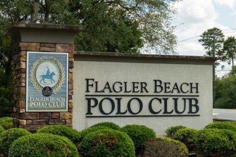 Land in Flagler Beach, Florida № 1817763 - photo 11