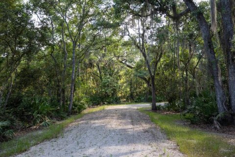 Land in Flagler Beach, Florida № 1817763 - photo 3
