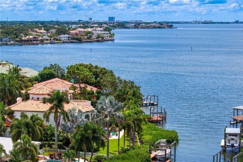 Villa ou maison à Tampa, Floride 5 chambres, 513.19 m2 № 2149188