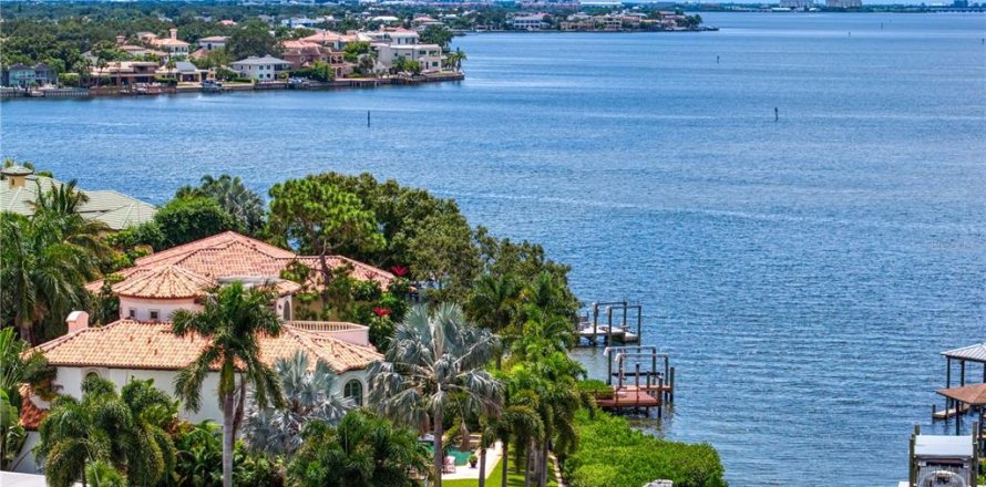 Villa ou maison à Tampa, Floride 5 chambres, 513.19 m2 № 2149188