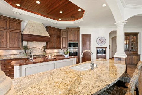 Villa ou maison à vendre à Tampa, Floride: 5 chambres, 513.19 m2 № 2149188 - photo 14