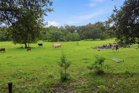 Casa en venta en Brooksville, Florida, 3 dormitorios, 92.16 m2 № 2283401 - foto 3