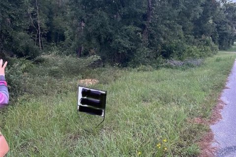 Land in Williston, Florida № 2162487 - photo 5