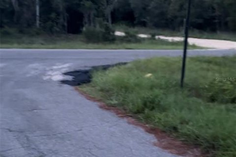 Land in Williston, Florida № 2162487 - photo 2