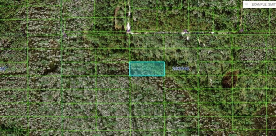 Terreno en Polk City, Florida № 2160736