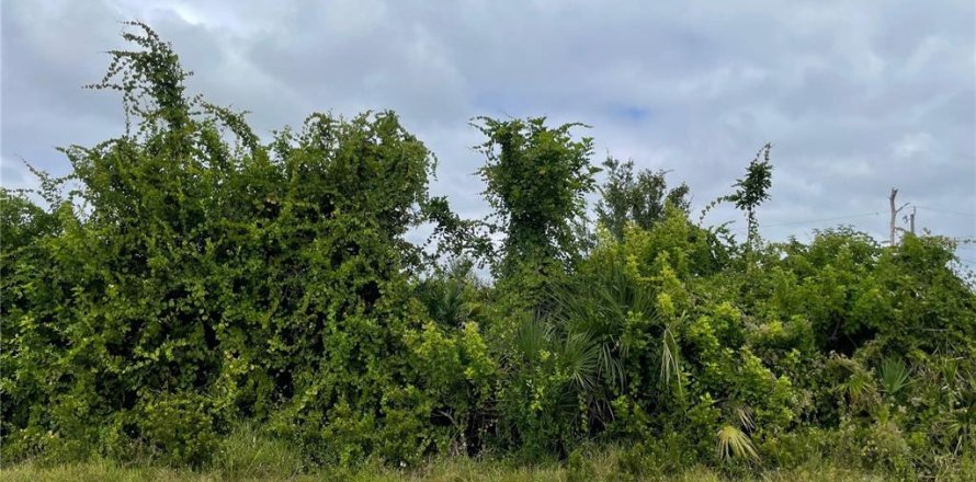 Land in Englewood, Florida № 2161369