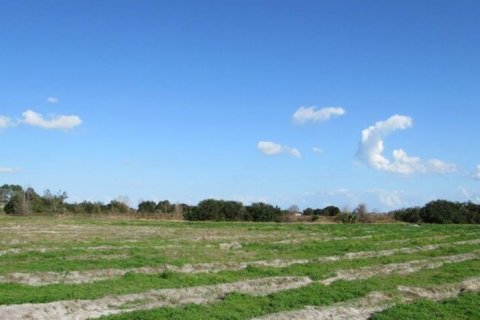 Land in Lake Wales, Florida № 1688531 - photo 1