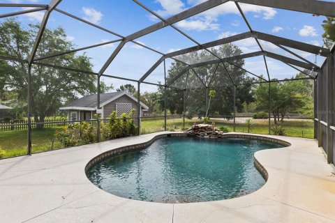 House in New Port Richey, Florida 3 bedrooms, 202.71 sq.m. № 1734499 - photo 2